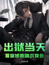 出狱当天，首富娇妻跪求复合