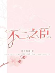 不二之臣