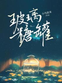 玻璃糖罐