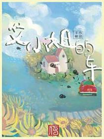 艾小姐的车