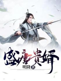 盛唐贵婿