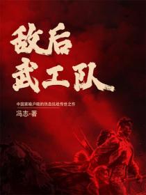 敌后武工队