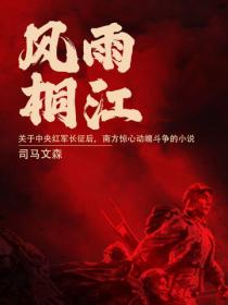 风雨桐江